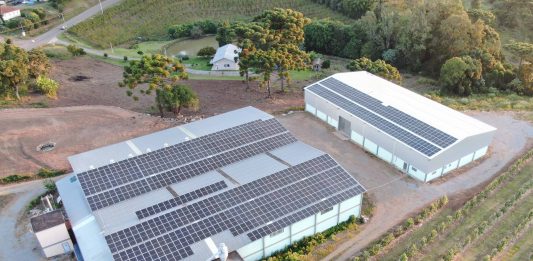 Empresa de energia solar completa seis anos com crescimento que ultrapassa 200%