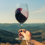 Vinhos e espumantes têm o melhor momento da história das exportações brasileiras