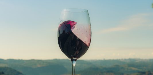 Vinhos e espumantes têm o melhor momento da história das exportações brasileiras