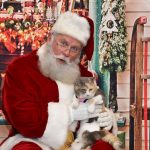 Gatinha mal-humorada fica feliz ao conhecer o Papai Noel