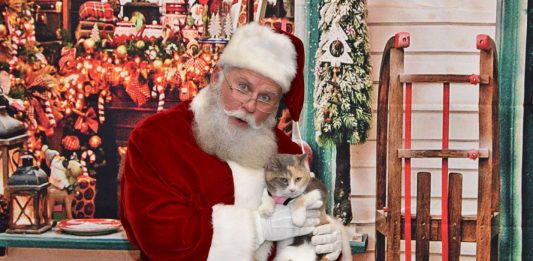 Gatinha mal-humorada fica feliz ao conhecer o Papai Noel