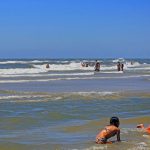 Lançado o Guia de orientação sobre águas-vivas e caravelas no litoral do RS