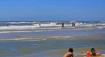 Lançado o Guia de orientação sobre águas-vivas e caravelas no litoral do RS