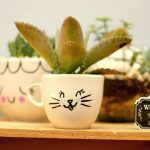 Ideias de presentes de natal baratos e diferentes