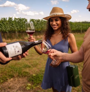 Wine Walk, da Vinícola Aurora, é a nova atração em Pinto Bandeira