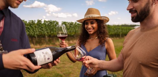 Wine Walk, da Vinícola Aurora, é a nova atração em Pinto Bandeira