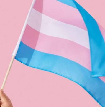Janeiro Lilás: Secretaria da Cultura do RS programa atividades para o mês da Visibilidade Trans