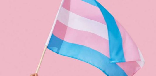 Janeiro Lilás: Secretaria da Cultura do RS programa atividades para o mês da Visibilidade Trans