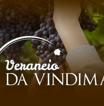 Veraneio da Vindima celebra o início da colheita da uva em Garibaldi