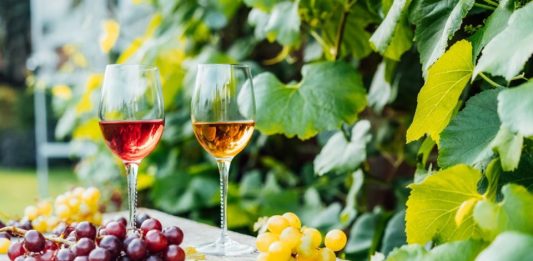 Escola de Gastronomia da UCS promove certificação profissional 'Do Vinhedo ao Vinho'