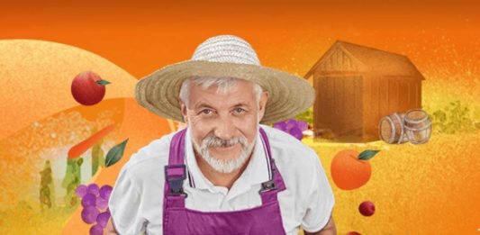 Festa das Colheitas tem diversidade de atrações em Caxias do Sul