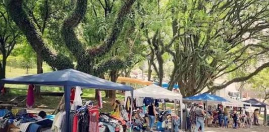 Imagem: Brique da Praça/Divulgaçãp