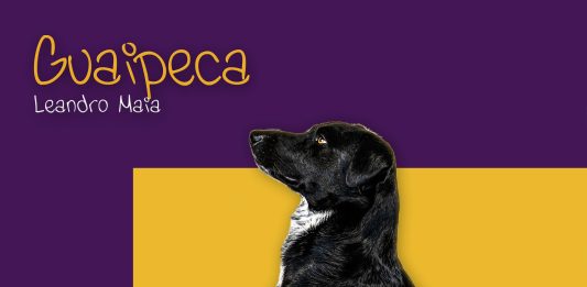 Imagem: Capa do single Guaipeca/Crédito Patrick Tedesco