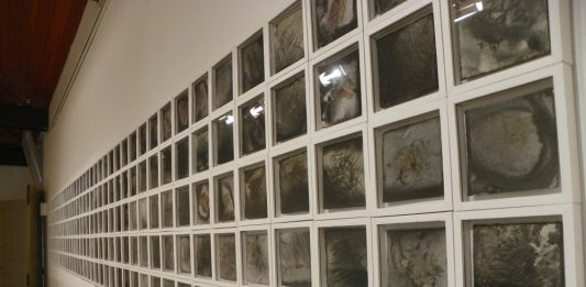 Imagem: Exposição “Depois de Inspirar”/Foto por Lurdi Blauth