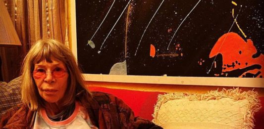 Rita Lee recebeu alta hospitalar e está em casa