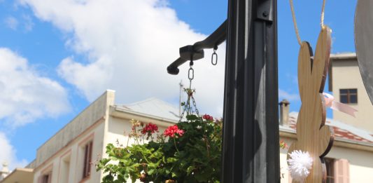 Imagem: Divulgação/Foto Laura Kirchhof