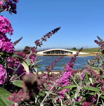 Mátria faz homenagem às mulheres com meia entrada e ações gratuitas no parque