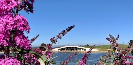 Mátria faz homenagem às mulheres com meia entrada e ações gratuitas no parque
