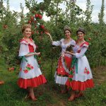 Imagem: Gisele Rebelatto da Fonseca, Tais Munaretti e Angelica Verruck são as rainhas do evento/Credito Abraao Frainer