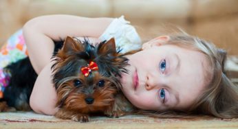 Pesquisa indica que convívio com cachorros pode trazer bons resultados no acompanhamento de crianças autistas