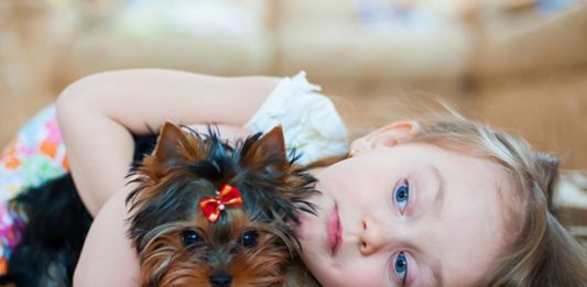 Pesquisa indica que convívio com cachorros pode trazer bons resultados no acompanhamento de crianças autistas