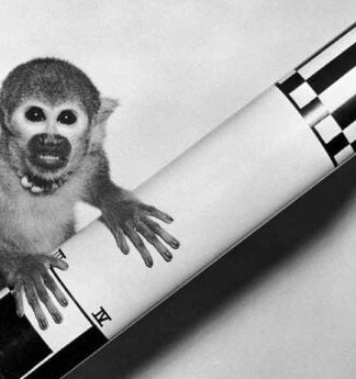 iMAGEM: Em 1959, os macacos Able e Baker se tornam os primeiros animais a sobreviver depois de uma viagem espacial.