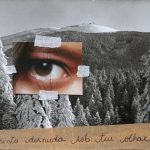 Imagem: Mostra O que ficou - Histórias reais ou não/Sara Verza