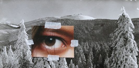 Imagem: Mostra O que ficou - Histórias reais ou não/Sara Verza