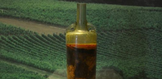 Imagem: Vinho mais antigo do mundo - Divulgação/Carola Raddato