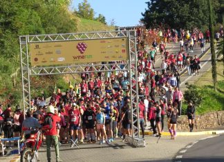 Wine Run no Caminhos de Pedra acontece em novembro