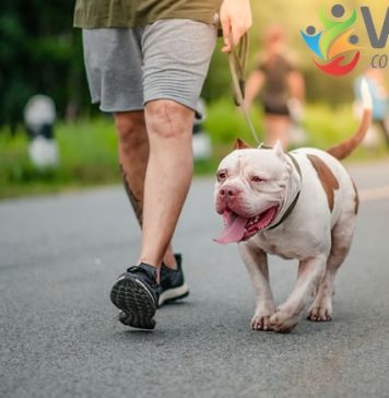 Viva com Saúde – 23/08/2023 – Atividade física com pets exige cuidados
