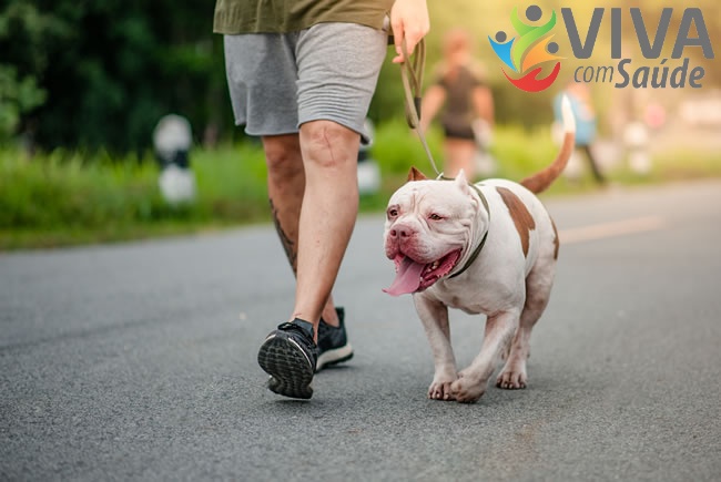 Viva com Saúde – 23/08/2023 – Atividade física com pets exige cuidados