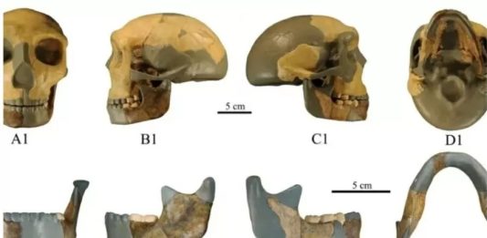 Imagem: Xiujie Wu/Centro Nacional de Pesquisa em Evolução Humana.
