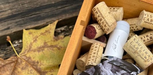 Vinícolas familiares de Bento Gonçalves são premiadas em concurso nacional