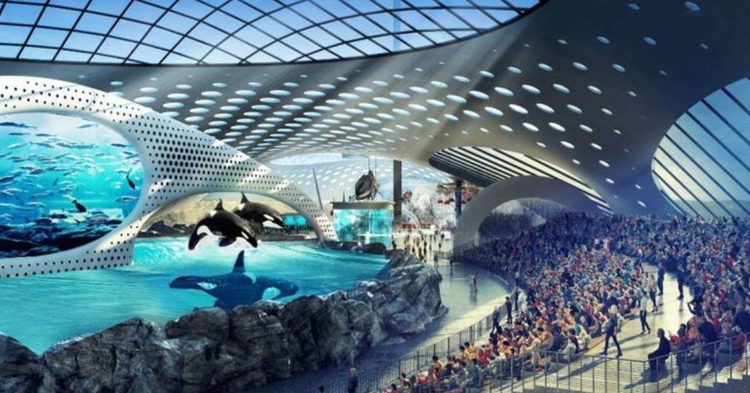 Com 100 mil animais, o maior museu coberto de ciência marinha será inaugurado em breve