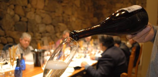Imagem: Avaliação das amostras na Embrapa/Crédito Maiára Martini