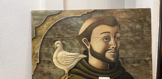 Imagem: Divulgação/Crédito Romila Amaral
