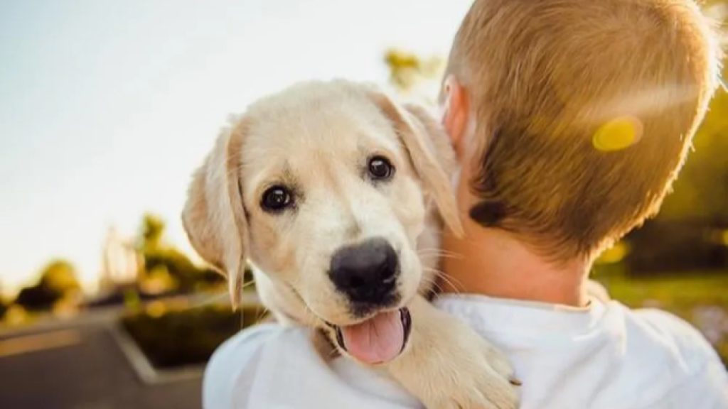 Estudo revela influência positiva de pets na saúde mental dos humanos