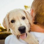 Estudo revela influência positiva de pets na saúde mental dos humanos