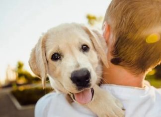 Estudo revela influência positiva de pets na saúde mental dos humanos