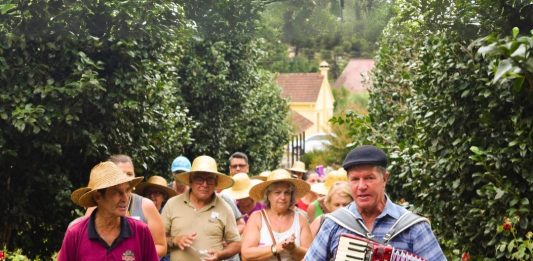 Sabores e tradições: Vindima 2024 no Roteiro Caminhos de Pedra
