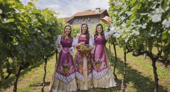Festa de Abertura da Vindima revisita imigração italiana em Monte Belo do Sul