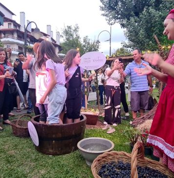 Vindima em Gramado terá pisa da uva como atração gratuita aos sábados 