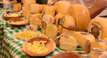 Queijo Brasil: Maior Competição Nacional acontece em Blumenau