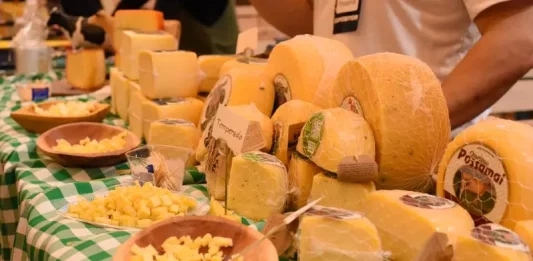 Queijo Brasil: Maior Competição Nacional acontece em Blumenau