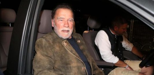 Arnold Schwarzenegger é detido em aeroporto após inspeção de bagagem