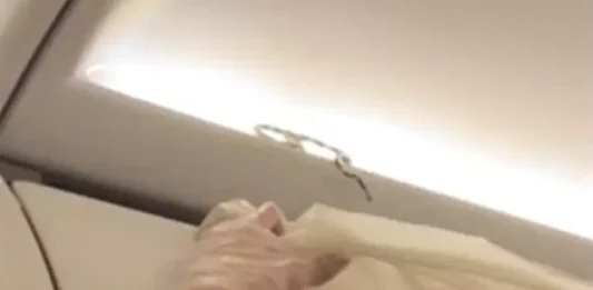 Pânico no avião: Cobra sai de bagageiro e assusta passageiros, veja o video