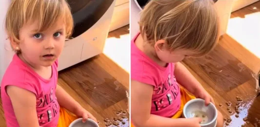 Video Viral: Mãe flagra filha comendo ração junto ao cão