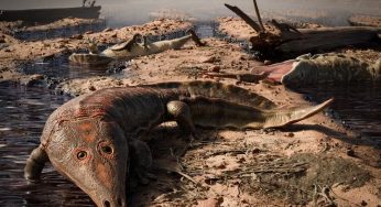 Fóssil de anfíbio gigante mais antigo que os dinossauros é encontrado em fazenda do RS