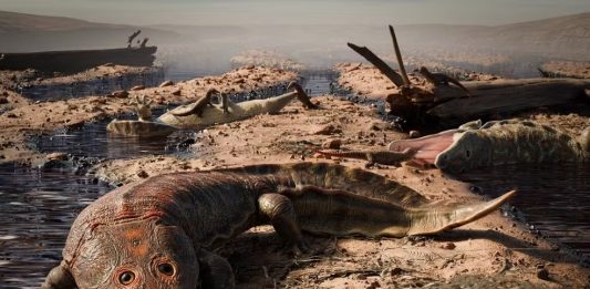 Fóssil de anfíbio gigante mais antigo que os dinossauros é encontrado em fazenda do RS